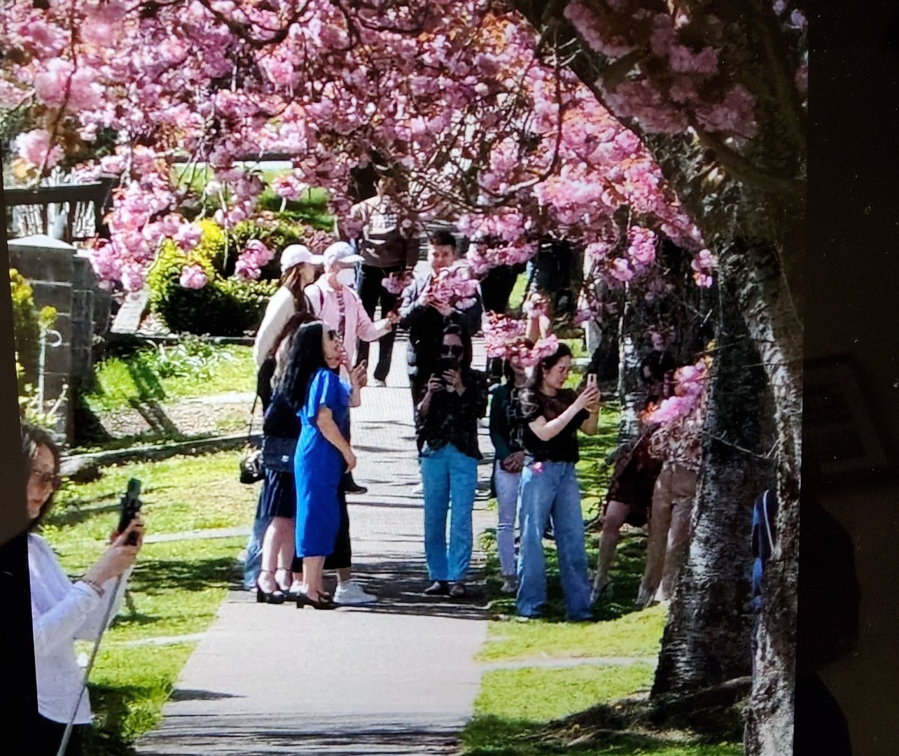 Photo of the property